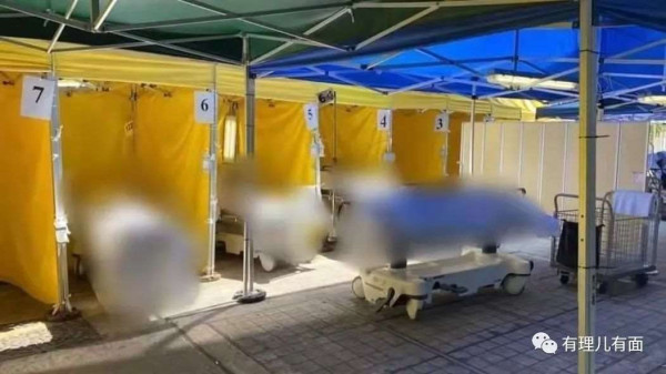 让私营医疗资本支援香港抗疫?可以,每人每天十万!