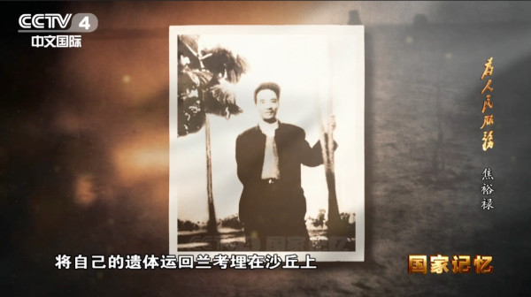 迎难而上战“三害”,挺拔的泡桐是他留给兰考最珍贵的政绩