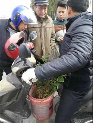 城边异乡人:一个苗工的杭州二十年