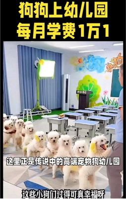 在鲜明的对比下，老百姓活得不如富豪的一条狗!这本身就是极大的悲剧，是对执政者极大的讽刺，应该引起党政部门的重视予以纠正