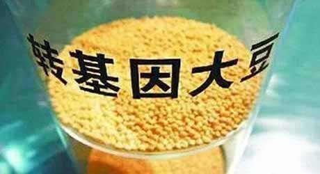 反转半月报 | 转基因农药致癌性毒性又经证实，欧盟法院裁决要求长期检测