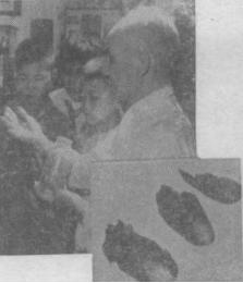 这本1960年中国青年出版社的小册子，分资本家是怎么起家的？资本家怎样剥削工人？资本家怎样压迫工人？资产阶级分子对社会主义的猖狂进攻，兴无灭资革命到底等几部分揭露了资本主义的罪恶，对于提高无产阶级认识觉悟很有助益。本站连载刊出，此章分上下两载，此为五（上）。