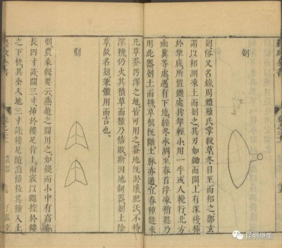 没有从中国引入的技术,英国饭都吃不饱,何谈农业革命和工业革命