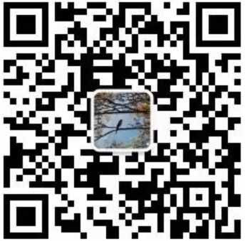 【1117新闻摘要】新一轮东北振兴战略出炉 乌克兰准备发动广场革命