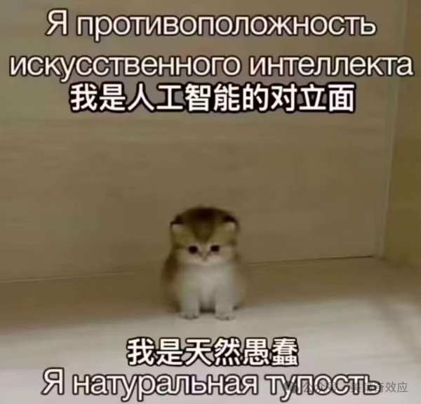 过顶日本的导弹，不是打鬼的杀招