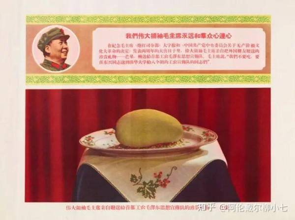 毛主席送来了芒果