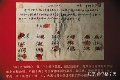 以建立“国家级现代化大型农业集团”为火车头,实现农业及引领全社会现代化的建议方案。