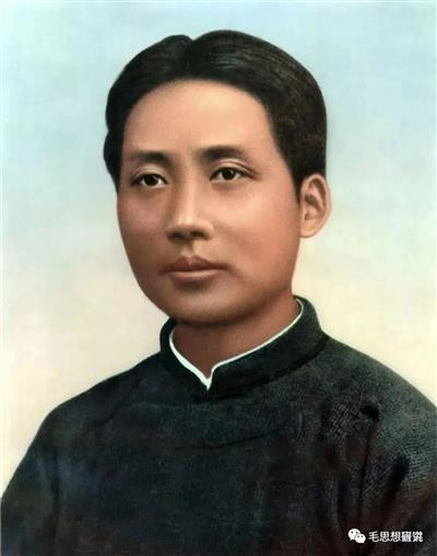 只有无产阶级和共产党能够领导农民、城市小资产阶级和资产阶级,克服农民和小资产阶级的狭隘性,克服失业者群的破坏性,并且还能够克服资产阶级的动摇和不彻底性(如果共产党的政策不犯错误的话)