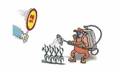 反转月报 | 中国通过转基因安全证书,国外已陆续禁用草甘膦