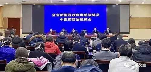 王宏甲:河南、湖北两省要求全面使用中医中药