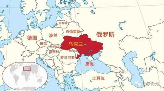美国靠得住,母猪能上树!