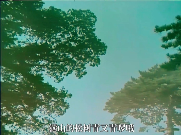 满山的松树青又青啰哦，满山的翠竹根连根啰：郭兰英和吕文科高亢明亮的声音响彻山谷，这是哪部电影插曲？