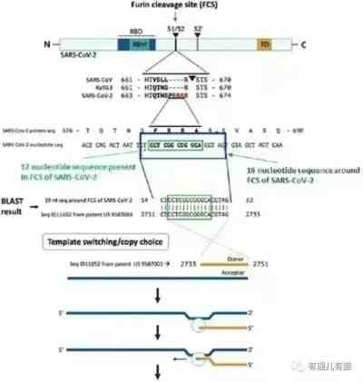 或许此次俄乌军事冲突正是上述所有谜团的转机,让我们再一次看清美国所谓“自由”与“人权”的真实面目——惯于屠杀的殖民主义与奉行种族清除的纳粹主义。