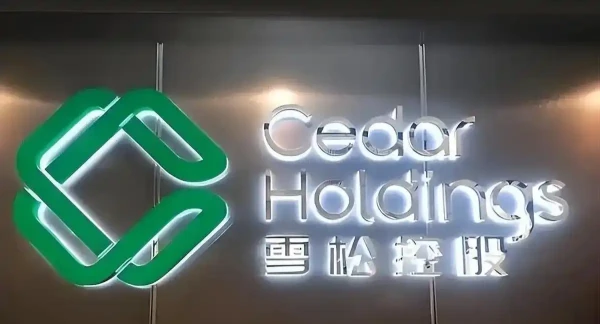 第二个许家印！又一首富栽了！世界500强全靠造假，千亿帝国清零