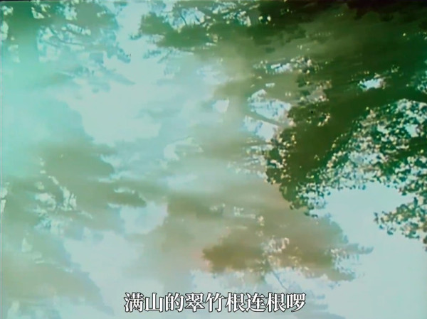 满山的松树青又青啰哦，满山的翠竹根连根啰：郭兰英和吕文科高亢明亮的声音响彻山谷，这是哪部电影插曲？