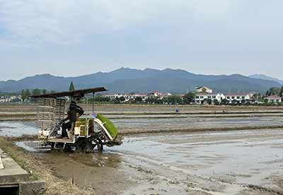 秸秆还田让农民多花了哪些钱？