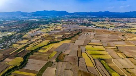 河南18个地级市,没有一个城市甘愿在经济上落后,也没有一个农民会甘愿在收入上落后。这就客观存在一个趋势,即资金、土地、劳动力、政策,在市场和利益的引导下,随时都可能流出农村、流出农业,向经济效益更显著的工业、服务业、房地产业倾斜。这就会对粮食生产构成某种威胁。