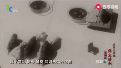 而正是因为国内舆论战场上中国派失去主导权，导致老百姓无所适从，几个实事不干频频出现在媒体镜头的网红主导了我国生物安全建设。大大在9月29日内部第三十三次集体学习时已强调要加强国家生物安全风险防控和治理体系建设，提高国家生物安全治理能力。面对国内外生物安全形势日趋严峻的当下，笔者认为夺回国内舆论主导权亦是刻不容缓之事！