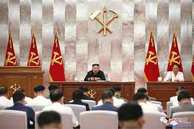 近期朝鲜劳动党中央会议透露了什么