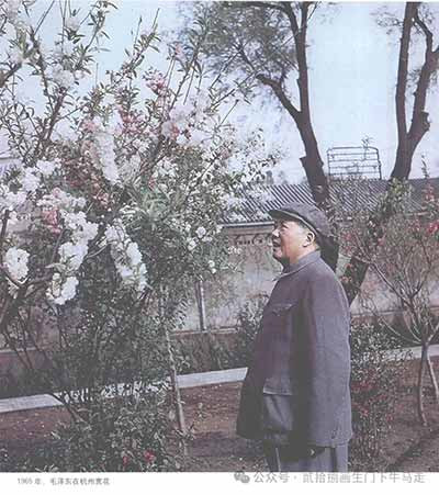 韩毓海《重读毛泽东：从1893到1949》序言