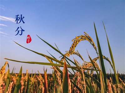 闫宏伟：秋分诗词