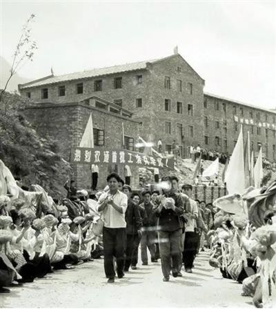 莫易|非蠢即坏