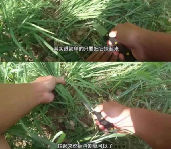 惟愿砖家叫兽们多思考下人民真实的生活,而不是为了一时的数字而放出豪言壮语。