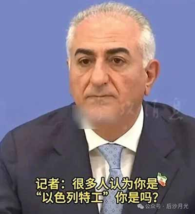这种人看似身份高贵，实则却是全世界最可悲的丧家犬！