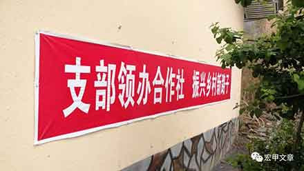 《贵州日报》今日刊文：党支部领办合作社是乡村振兴关键一招