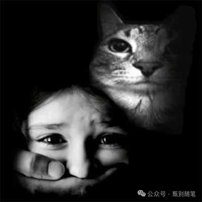 真正进步的社会,并不是没有灾难,而是在灾难面前不断追问:哪里出了问题?谁承担了代价?下一次能不能少一些悲剧? 因为最终决定一个社会温度的,从来不是它在顺境中创造了多少辉煌,而是在面对普通人的苦难时,是否愿意认真回应。而这,也是人类区别于自然力量最重要的地方。