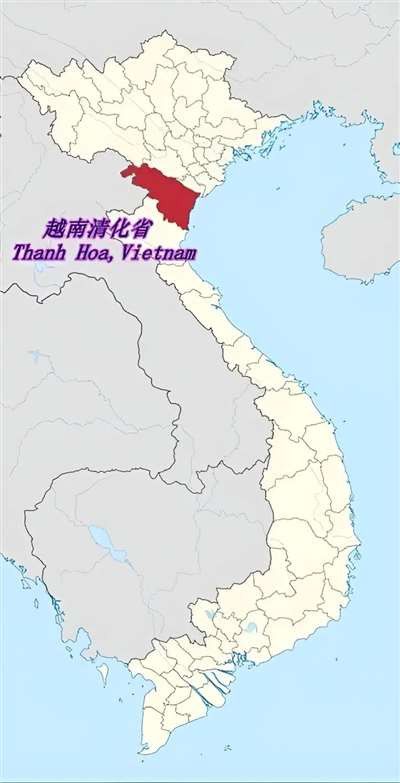 公共教育系统与校外补课机构是代表着两个不同利益集团的事物：前者是上层官僚资产阶级，后者是中下层官僚资产阶级。那么也就可以得出一个结论：只要这越南上层的官僚资产阶级集团与中下层的官僚资产阶级集团还存在矛盾，那么校外培训机构就不可能“杀”得完。