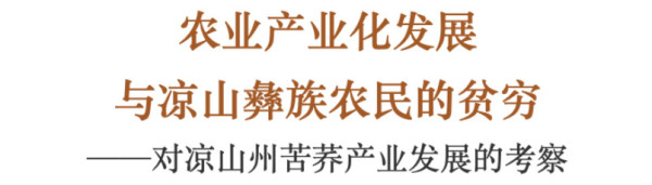 本文以凉山彝族自治州苦荞产业发展为例，由生产与流通面向切入，讨论农业产业化对农村发展的影响。论文以民族志的形式呈现农业产业化的具体实践、当地的农业生产与农民生活，分析苦荞产业的收益分配，各方力量对市场利益的争夺。