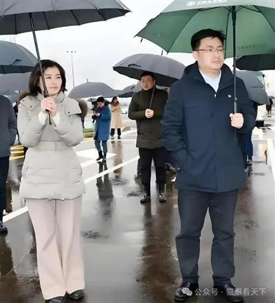 拍案称奇之毛奇佩霞