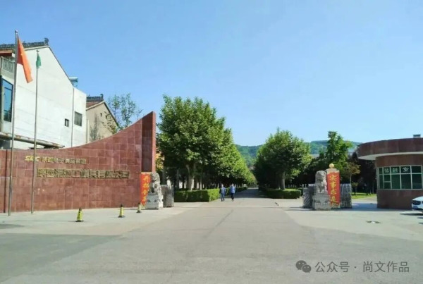 一九九四年的蔡家坡