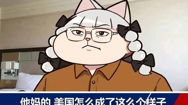 是的。美国社会的种种病灶——医疗债务、住房危机、中产塌陷、底层固化——已经存在了几十年，而且在加剧。但为什么没有爆发大规模的、系统性的"反对"运动？为什么没有出现根本性的制度变革？