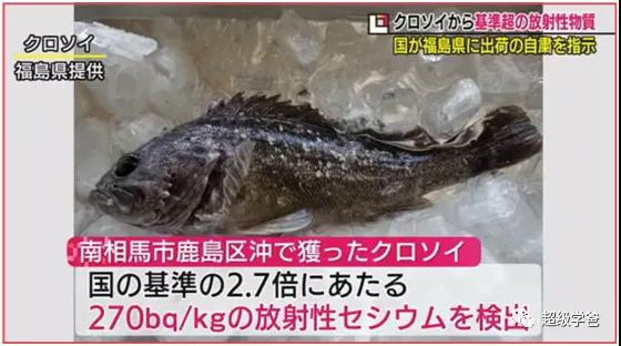 美国谴责美国，日本禁止日本，乌克兰自废乌克兰