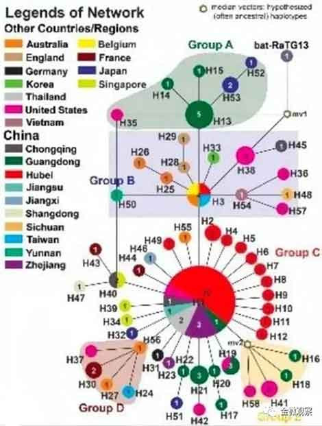 在病毒源头存在巨大争议之际,依然要让中华蝙蝠为新冠疫情背锅,那么会给中国是新冠源头之口舌,加剧世界对华人的歧视和排斥,遗祸深远!