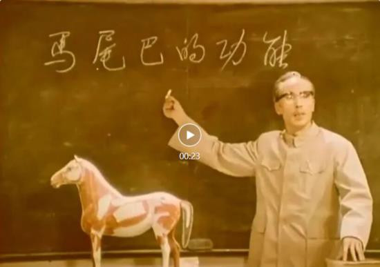 电影艺术家郭振清塑造了两个经典形象：武的李向阳，文的是谁？