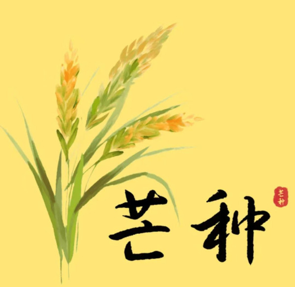 闫宏伟:节气诗词之芒种(2026.6.5)