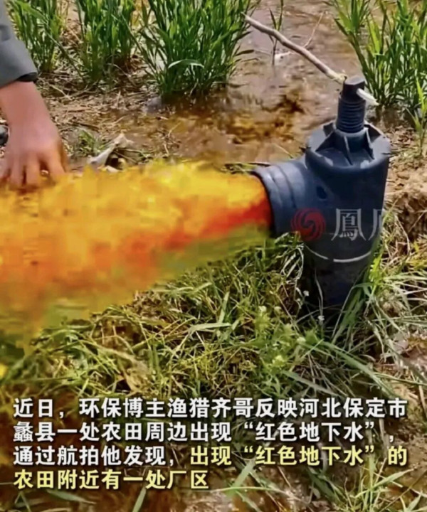 还有多少个蠡县正把“不敢吃”的东西,悄悄塞进我们的饭碗