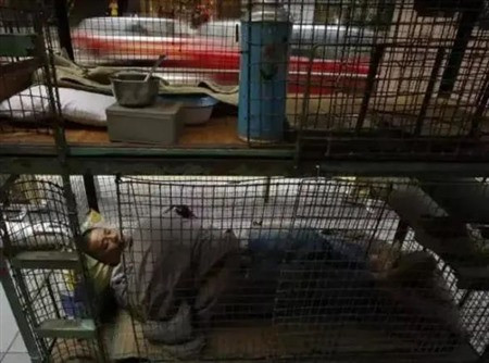 报告称，香港将在面积达300平方公里的都会区新建住房92万套，满足容纳250万人的住房需求，另外还要新建33万套公租房，给低收入人群解决住房问题。