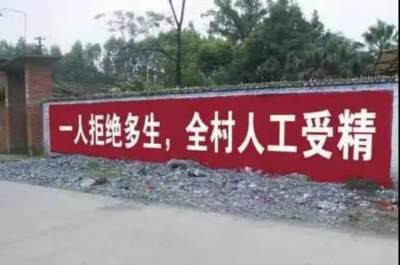 性教育是毛时代计划生育的重要一环,八十年代末孙沐寒重申了性教育对计划生育的重要性,由于八十年代色情文化死灰复燃及清除精神污染运动的推行,性再次成为一大禁区。