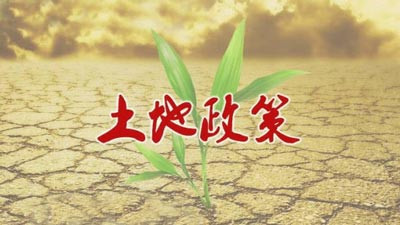 顶层设计能否制定正确的政策至关重要。许多基层干部深有体会地认识到，干部工作沿着错误的政策导向作为越多，危害越大。尽管改革出台那么多政策，事关全局的三农问题依然得不到解决，甚至出台的政策越多问题越多，因此很有必要对农村政策进行认真反思，尤其是土地政策。