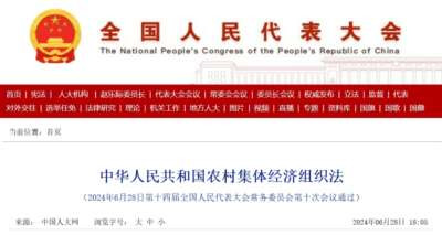 重要的话再重复一遍:抓纲治国。什么是三农工作的纲,发展壮大集体经济就是三农工作的纲。纲不举,目不张。