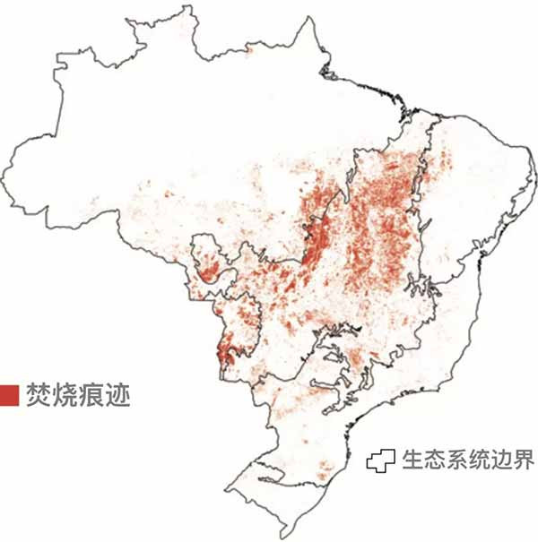 亚马逊之火，因何燃起，谁在加油？