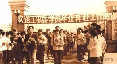 社会主义的教育不应当局限于学校围墙之内，应以劳动人民知识化和知识分子劳动化为目标，将教育扩展到全社会。应以劳动人民为根基，将人类文明几千年积累起来的知识平等地、无偿地传递给每一个需要知识的劳动者，彻底摧毁剥削阶级垄断知识、愚弄民众、制造不平等的根基。