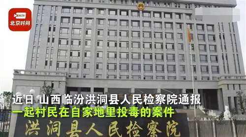 我总觉得，现在好人反而成了“弱势群体”，恶人反而能够嚣张跋扈。如果法律是一个人，我想跟法律聊聊天，请问这位整个社会都敬畏的大神：我是小杨，我该如何保护我的药材？我是小王，我该如何保护我的玉米？我是小刘，我该如何保护我的几颗白菜？这也不行，那也不行，有什么好办法可以使我们的权益得到保护？刘宗泽死了，我的“六哥”死了，他能不能以他的死，换来整个社会对于“好人弱势群体”的关注，换取法律对于“好人弱势群体