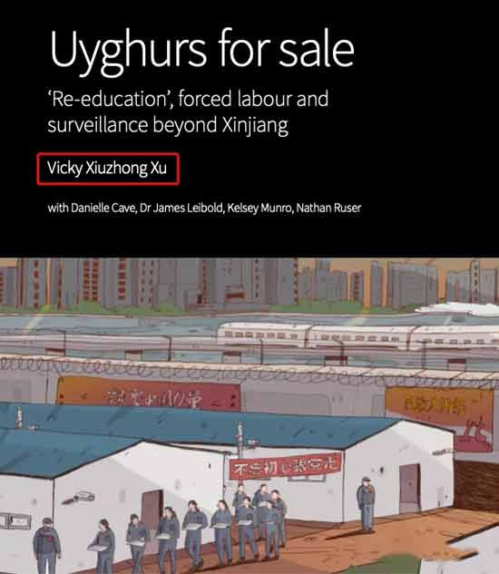 这些华裔，不论是生在中国，还是生在美国，最后选择美国作为自己的国家，本身也谈不上罪过。但他们利用自己对中国情况的了解，与美国的鹰派官僚沆瀣一气，鼓吹对华遏制，成为美国政府的反华智囊，确是实实在在的背叛民族之举。