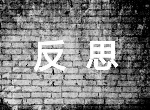 针对失误，今后应在如下方面做出战略性调整：一是建设社会主义新农村的提法要重新恢复起来，城市化的提法要废止。二是产业要均衡发展，南方、东部的产业要向中部、西部有序转移，集中在城市的产业要向农村合理转移。三是支持民营经济发展的舆论要降温，政策要做重大改变，民营企业必须接受混合所有制改革，国有资本、集体资本要无障碍进入民营企业。