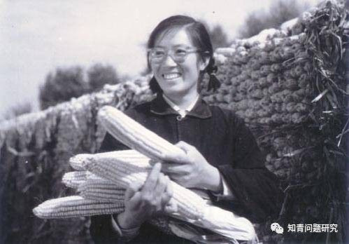 【重温】侯隽大姐曾经生活过的河北省窦家桥